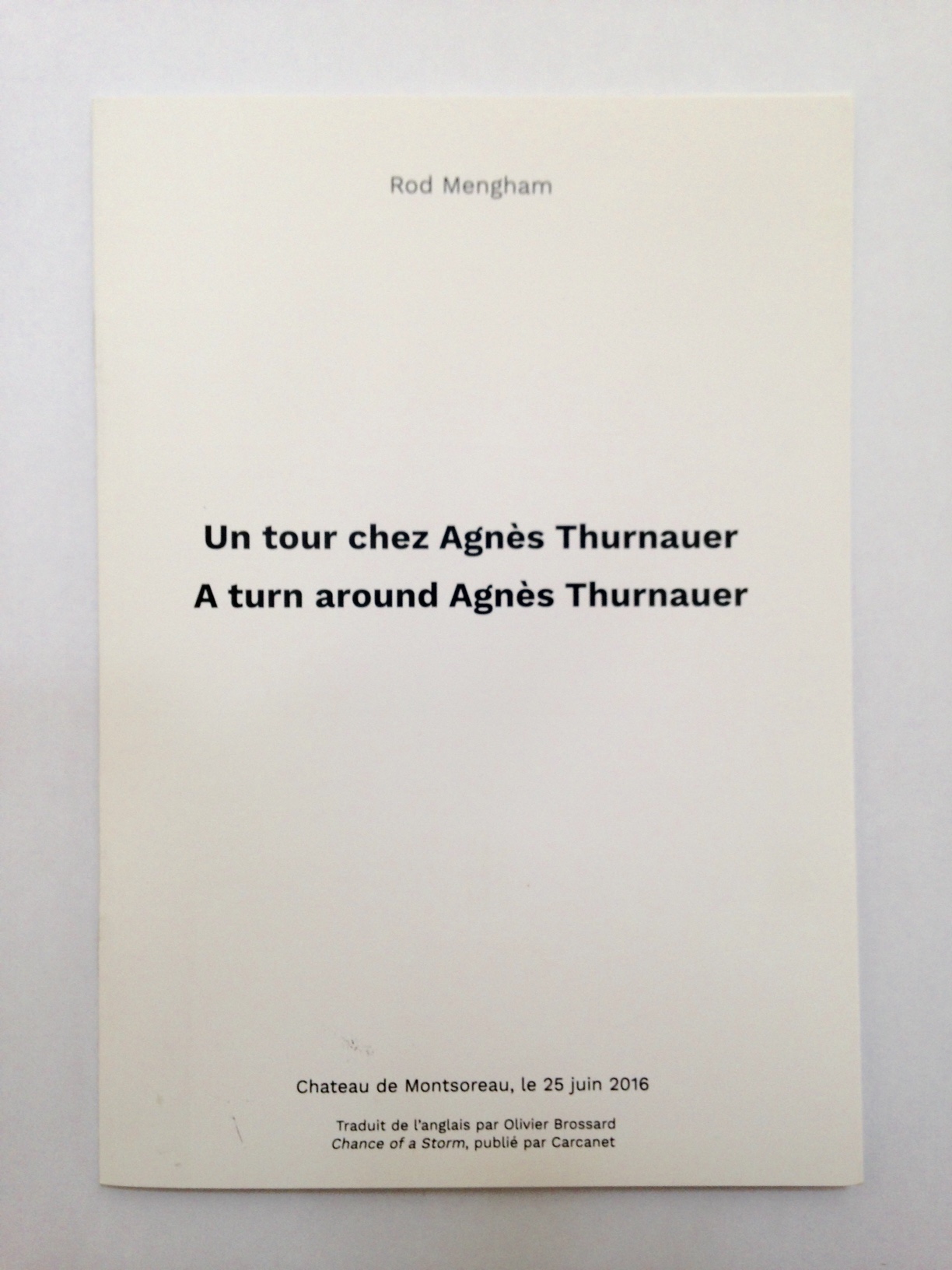 Representation of A turn around Agnès Thurnauer